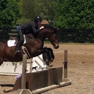 Meet your Posher, Morgan